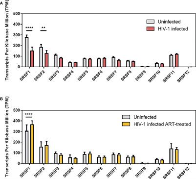 SRSF1 acts as an IFN-I-regulated cellular dependency factor decisively affecting HIV-1 post-integration steps